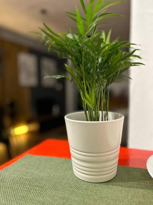 Loft Centro Santanderアパートメント エクステリア 写真
